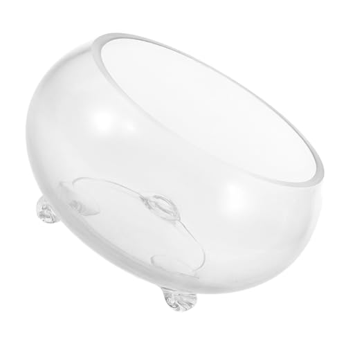 BESPORTBLE Mikro-landschaftsglas-Aquarium Terrarium-pflanzgefäß Aus Glas Großes Fischglas Aus Glas Fischgläser Aus Glas Terrarienschalen Aquarienschale Kleines Aquarium Aus Glas Transparent von BESPORTBLE