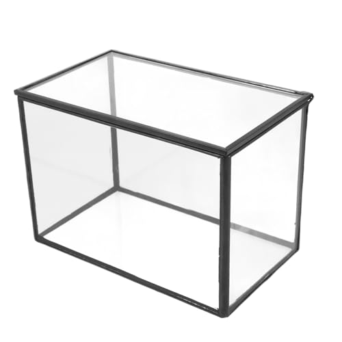 BESPORTBLE Mikrolandschaft Gewächshaus Vasen Terrarium Mikrolandschaft Halter Moos Landschaft Container Mikrolandschaft Container Pflanzen Fall Mikrolandschaft DIY Halter Glas Transparent von BESPORTBLE