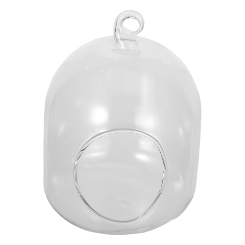 BESPORTBLE Mikrolandschaft Glasvase mit Moos Dekorativer Terrarium Flaschenkörper Kompakter DIY Pflanztopf für Büro Tischdeko Wohnaccessoire Geschenkidee BESPORTBLE Mikrolandschaft Glasvase mit Moos Dekorativer Terrarium Flaschenkörper Kompakter DIY Pflanztopf für Büro Tischdeko Wohnaccessoire Geschenkidee von BESPORTBLE