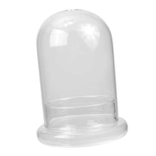 BESPORTBLE Mikrolandschaft Ökologische Flasche Leck Große Wasserflasche Wasserflaschen Glas Rose Moos Getränk Terrarium Tisch Hydro Vase Bachlauf Wiederverwendbar Tank Terrarien von BESPORTBLE