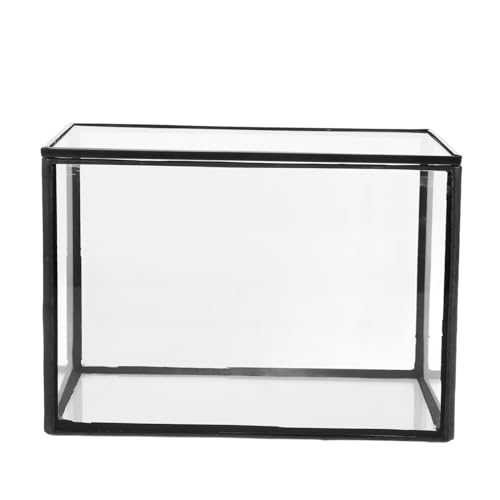 BESPORTBLE Mikrolandschafts Gewächshaus Terrarium Vasen Tischdekoration Mooslandschaftsbehälter DIY Pflanzenbehälter Mikrolandschaftsbehälter Mikrolandschaftshalter Glas Transparent von BESPORTBLE