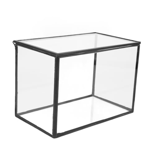 BESPORTBLE Glas-landschaftsbehälter Terrarium Terrarienbox Dekorativer Pflanzenhalter Aus Glas Stabil Und Modisch Geeignet Für Und Garten von BESPORTBLE