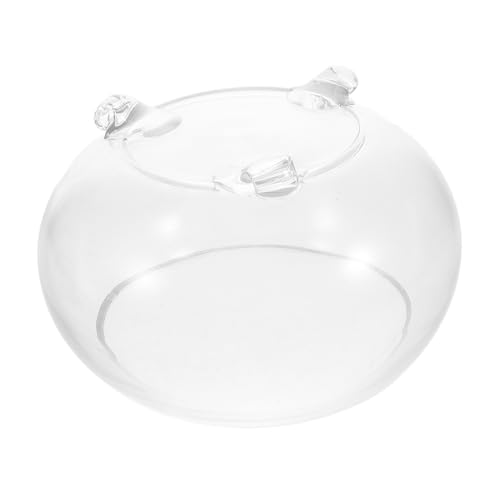 BESPORTBLE Großes Glas-fischglas Terrarium-Schale Lotustopf Pflanzschale Betta-fischglas Stilvolles für Zuhause und Hochzeit BESPORTBLE Großes Glas-fischglas Terrarium-Schale Lotustopf Pflanzschale Betta-fischglas Stilvolles für Zuhause und Hochzeit von BESPORTBLE
