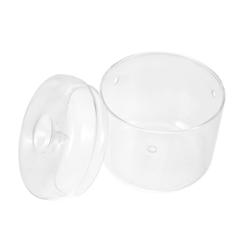BESPORTBLE Mikrolandschaftspflanzen Wasser Aquarium Hydroponisches Anbausystem Sieb einmachgläser lagercontainer Garden Decor Glaswaren Vase Landschaft Flasche Mikro-Landschaftsflasche BESPORTBLE Mikrolandschaftspflanzen Wasser Aquarium Hydroponisches Anbausystem Sieb einmachgläser lagercontainer Garden Decor Glaswaren Vase Landschaft Flasche Mikro-Landschaftsflasche von BESPORTBLE