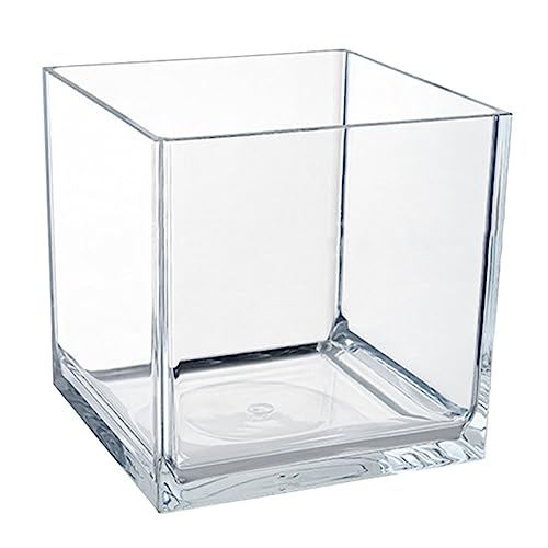 BESPORTBLE Mini-Aquarium Teich Vakuum Essen Schwimmbad Schildkröte Panzer Für Luft Blase Futterspender Fisch Automatisch Tank Anlage Schneckenbecken Strand Filter Wasser STK Transparent BESPORTBLE Mini-Aquarium Teich Vakuum Essen Schwimmbad Schildkröte Panzer Für Luft Blase Futterspender Fisch Automatisch Tank Anlage Schneckenbecken Strand Filter Wasser STK Transparent von BESPORTBLE