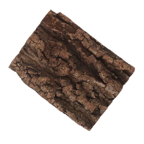 BESPORTBLE Reptilien-Kork-Hintergrund Für Terrarium Natürliches Habitat-dekor Klettermatte Für Gecko Spider Schildkröte Und Bartagame BESPORTBLE Reptilien-Kork-Hintergrund Für Terrarium Natürliches Habitat-dekor Klettermatte Für Gecko Spider Schildkröte Und Bartagame von BESPORTBLE