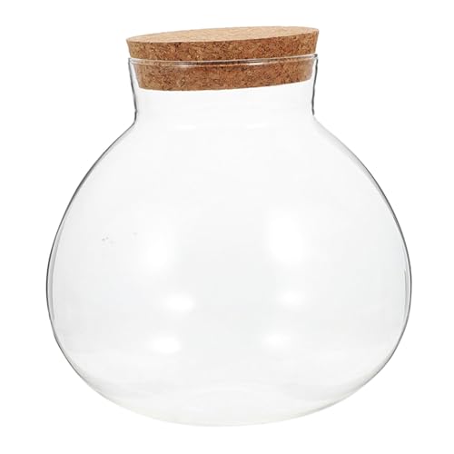 BESPORTBLE Ökologische Mikrolandschaftsflasche Knospenvase Flasche Mit Mikrolandschaft Klare Verschlossene Dose Moos-landschaftsbauflasche Saftiges Terrarium Ökosystemflasche Transparent Glas von BESPORTBLE