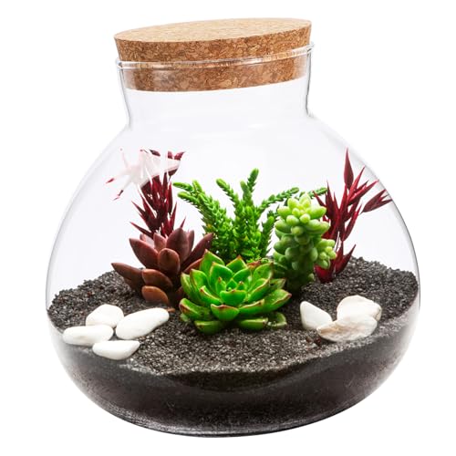 BESPORTBLE Glasterrarium-Flasche Mit Korkdeckel Runde Glasflasche Für Mini-landschaften DIY-leerflasche Für Heimdekoration Und Aufbewahrung BESPORTBLE Glasterrarium-Flasche Mit Korkdeckel Runde Glasflasche Für Mini-landschaften DIY-leerflasche Für Heimdekoration Und Aufbewahrung von BESPORTBLE