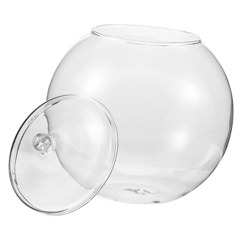 BESPORTBLE Flaschenterrarium Für Pflanzen Ökologische -landschaftsflasche Aus Dekorativer Behälter Für Blumen Und Moos DIY Terrarium Für Wohnzimmer Und Büro von BESPORTBLE