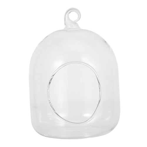 BESPORTBLE Offenes Moos Mikrolandschaft Glasflasche für DIY Pflanzenarrangements Kompakte Tischdekoration Pflegeleicht und Tragbar für Kleine Räume BESPORTBLE Offenes Moos Mikrolandschaft Glasflasche für DIY Pflanzenarrangements Kompakte Tischdekoration Pflegeleicht und Tragbar für Kleine Räume von BESPORTBLE