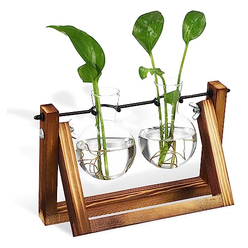 BESPORTBLE Blumentopf Aus Glas Mit Holzständer Blumenvase Pflanzgefäß Für Pflanzenanzucht Und Heimdekoration BESPORTBLE Blumentopf Aus Glas Mit Holzständer Blumenvase Pflanzgefäß Für Pflanzenanzucht Und Heimdekoration von BESPORTBLE