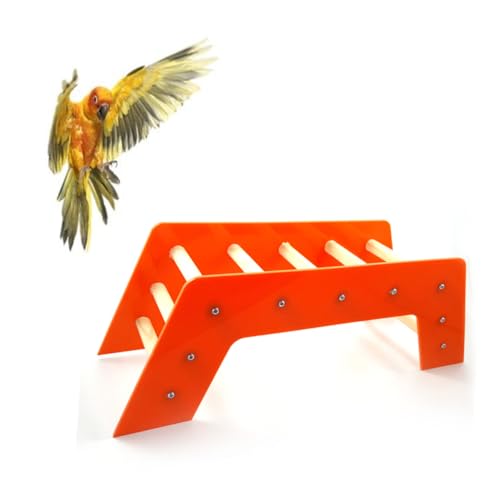 BESPORTBLE Papagei Treppen Spielzeug Vogel Treppen Klettern Brücke Spielzeug Papagei Spielplatz Pet Supplies Farbe Zufällig von BESPORTBLE