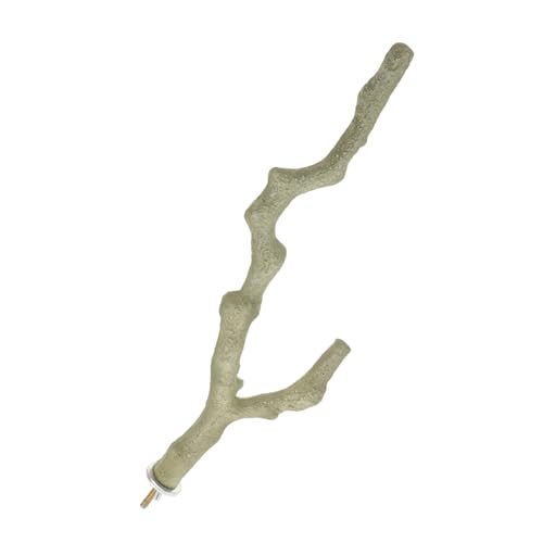 BESPORTBLE Vogelsitzstange Für Papageienkäfig Zweigpfote Spielzeug Zum Schleifen Für Sittiche Nymphensittiche Kleine Vögel Trainingshilfe von BESPORTBLE