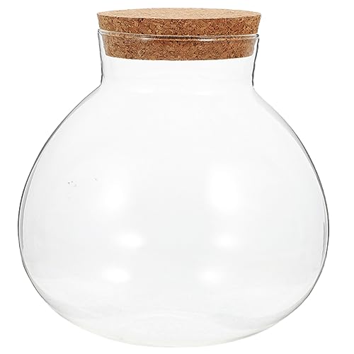 BESPORTBLE Microlandscape Flasche Terrarium Glas Flasche Glas Kanister Kork Versiegelt Design Für 10x11cm Größe BESPORTBLE Microlandscape Flasche Terrarium Glas Flasche Glas Kanister Kork Versiegelt Design Für 10x11cm Größe von BESPORTBLE