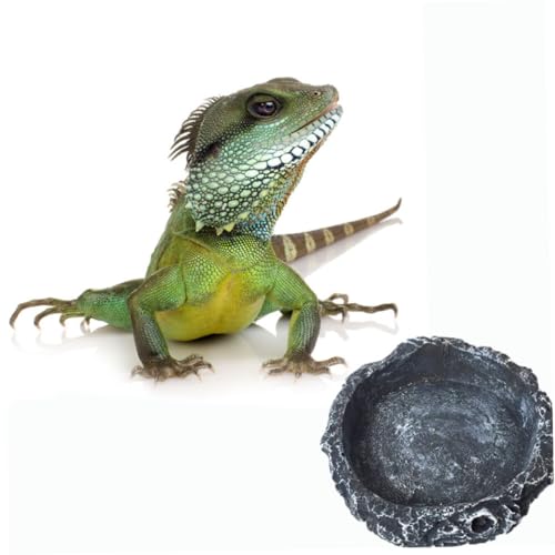 BESPORTBLE Schildkröte Schildkröte Schlange Wärmelampe Reptil Spezialbecken Rundes Kunstharzschalenbecken von BESPORTBLE