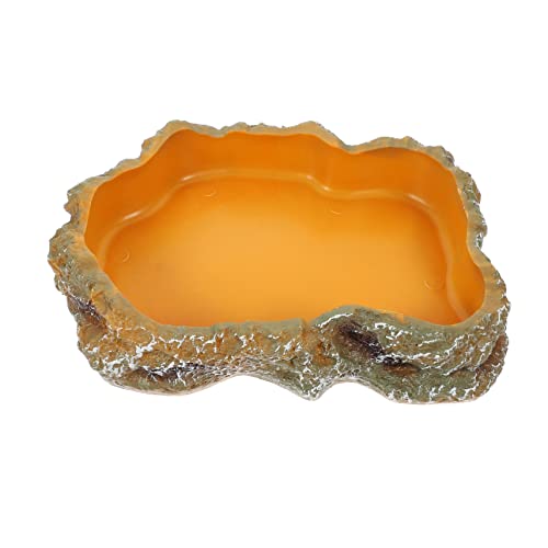 BESPORTBLE Crawling Pet Feeding Basin Für Reptilien Wasserschale Für Schildkröten Langlebige Futter Wasserstation Für Terrarien Zubehör Für Reptilienhaltung von BESPORTBLE