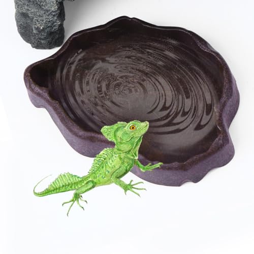 BESPORTBLE Reptilien Futterschale aus Resin Kleine Flache Wasserschale für Schildkröten und Eidechsen Praktisches Futter Wasserbecken für Terrarien Langlebig und Kompakt Kaffee Farbe S BESPORTBLE Reptilien Futterschale aus Resin Kleine Flache Wasserschale für Schildkröten und Eidechsen Praktisches Futter Wasserbecken für Terrarien Langlebig und Kompakt Kaffee Farbe S von BESPORTBLE