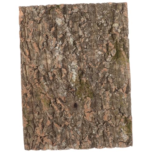 BESPORTBLE Reptile Cork Bark Dekoration Für Terrarien Natürliche Korkrinde Als Kletterplattform Für Reptilien Geeignet Für Eidechsen Bartagamen Und von BESPORTBLE