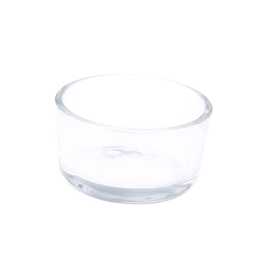 BESPORTBLE Glass Reptile Feeder Bowl Transparentes Futterbecken Für Reptilien Kleine Fische Und Garnelen Kristallglas Langlebig Und Sicher Für Haustiere Für Eidechsen Spinnen Und BESPORTBLE Glass Reptile Feeder Bowl Transparentes Futterbecken Für Reptilien Kleine Fische Und Garnelen Kristallglas Langlebig Und Sicher Für Haustiere Für Eidechsen Spinnen Und von BESPORTBLE
