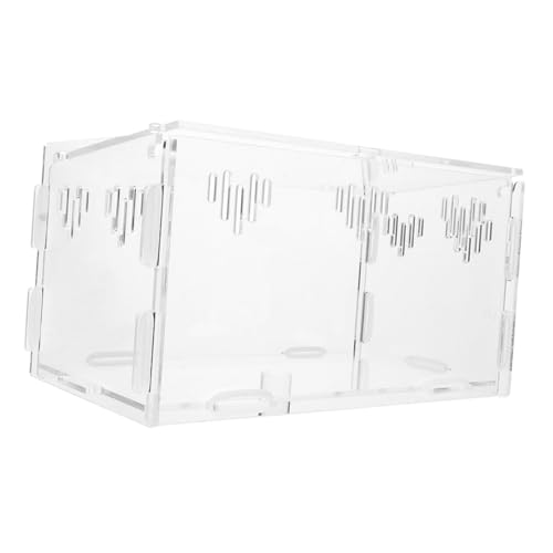 BESPORTBLE Futterbox Für Reptilien Zuchtbecken Für Aquarien Sicheres Und Transparentes Schildkrötenbecken BESPORTBLE Futterbox Für Reptilien Zuchtbecken Für Aquarien Sicheres Und Transparentes Schildkrötenbecken von BESPORTBLE