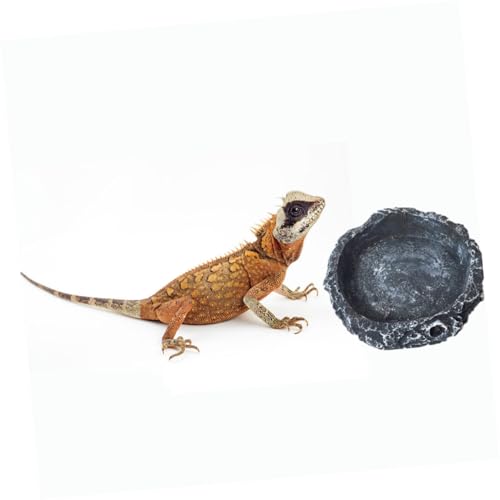 BESPORTBLE Reptilien-wasserschale Aus Synthetischem Harz Kleiner Runder Futter Und Wasserbehälter Für Schildkröten Eidechsen Und Schlangen Leicht Zu Reinigen Stabil Und Sicher Für BESPORTBLE Reptilien-wasserschale Aus Synthetischem Harz Kleiner Runder Futter Und Wasserbehälter Für Schildkröten Eidechsen Und Schlangen Leicht Zu Reinigen Stabil Und Sicher Für von BESPORTBLE