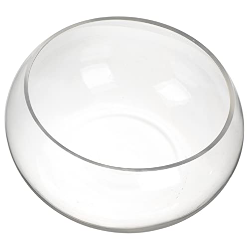 BESPORTBLE Runder Transparenter Fischbowl aus Hydrokultur Pflanzgefäß für Langlebig für Fische und Pflanzen Design Hohe von BESPORTBLE