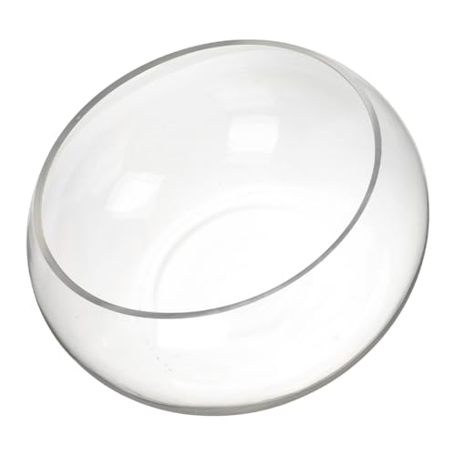 BESPORTBLE Rundes Desktop-Aquarium Terrarienschale großes Fischglas klare Vase Glaswaren bürodekoration Anlage Zimmerpflanzen Hydrokultur-Pflanzschale Pflanzgefäß für hydroponische Pflanzen BESPORTBLE Rundes Desktop-Aquarium Terrarienschale großes Fischglas klare Vase Glaswaren bürodekoration Anlage Zimmerpflanzen Hydrokultur-Pflanzschale Pflanzgefäß für hydroponische Pflanzen von BESPORTBLE