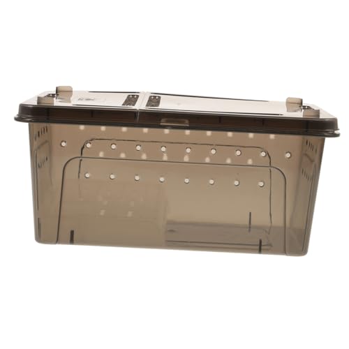 BESPORTBLE Schildkröte Wasser Coop Schmuckstücke Mit Haube Fischfilter Für Tank Frosch Schneckenbecken Gecko Anlage Tankplattform Zum Sonnenbaden Tankstarter Reptilienraum Pumpe Plastik BESPORTBLE Schildkröte Wasser Coop Schmuckstücke Mit Haube Fischfilter Für Tank Frosch Schneckenbecken Gecko Anlage Tankplattform Zum Sonnenbaden Tankstarter Reptilienraum Pumpe Plastik von BESPORTBLE