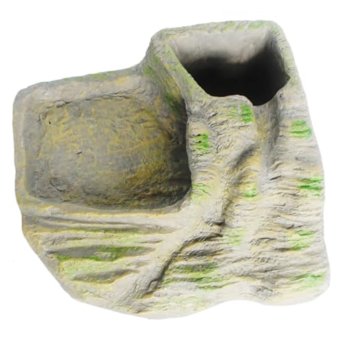 BESPORTBLE Terrarium Für Reptilien Und Schildkröten – Dekorative Sonnenplattform Für Reptilien Mit Steingarten Als Versteck Perfekt Fürs Aquarium Oder Als Dekoration Für Zuhause BESPORTBLE Terrarium Für Reptilien Und Schildkröten – Dekorative Sonnenplattform Für Reptilien Mit Steingarten Als Versteck Perfekt Fürs Aquarium Oder Als Dekoration Für Zuhause von BESPORTBLE