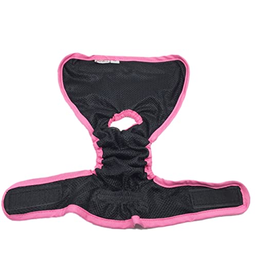 BESPORTBLE Windelhosen Für Hunde Klebeband Für Hündinnen Waschbar Für Die Menstruation Von Welpen Schwarz Größe M von BESPORTBLE