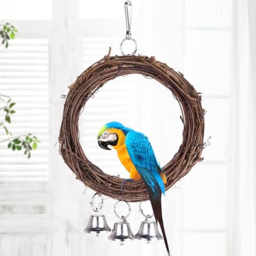 BESPORTBLE Sittichspielplatz Vogel-unterhaltungsspielzeug Spielzeug Für Vögel Schwingen Nymphensittich-Spielzeug Papageienkäfig Vogelschaukel Papageienschaukel Anhänger Hölzern Langen BESPORTBLE Sittichspielplatz Vogel-unterhaltungsspielzeug Spielzeug Für Vögel Schwingen Nymphensittich-Spielzeug Papageienkäfig Vogelschaukel Papageienschaukel Anhänger Hölzern Langen von BESPORTBLE