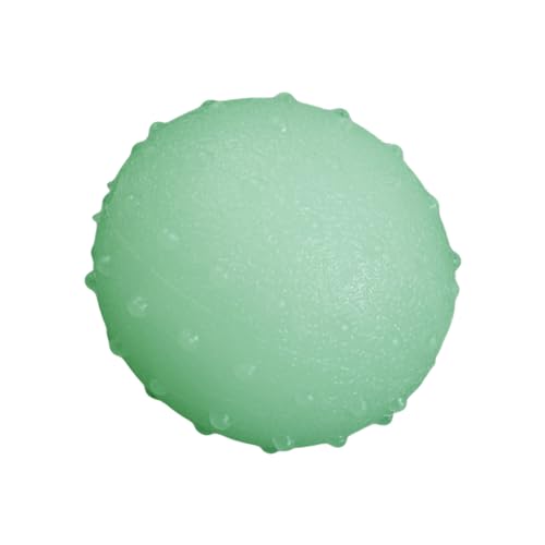 BESPORTBLE Glow The Dark Gummiball Für Hunde Interaktives Spielzeug Training Und Spaß Widerstandsfähiger Für Kleine Mittelgroße Haustiere von BESPORTBLE