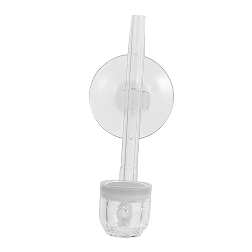 BESPORTBLE Sprudelschale Für Aquarien Aquarienlicht Pumpe Haustier Saugnapf Fisch Blase Schläuche Aquarientierdekor Bausatz -diffusor-kit Wasserkocher Acryl Transparent von BESPORTBLE