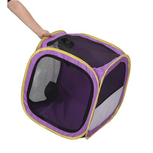 BESPORTBLE Tragbare Faltbare Haustier trocknerbox für Katzen und Hunde bis Schneller Trocknungsraum mit Leisem Belüftungssystem Platzsparend für Zuhause und Reisen von BESPORTBLE