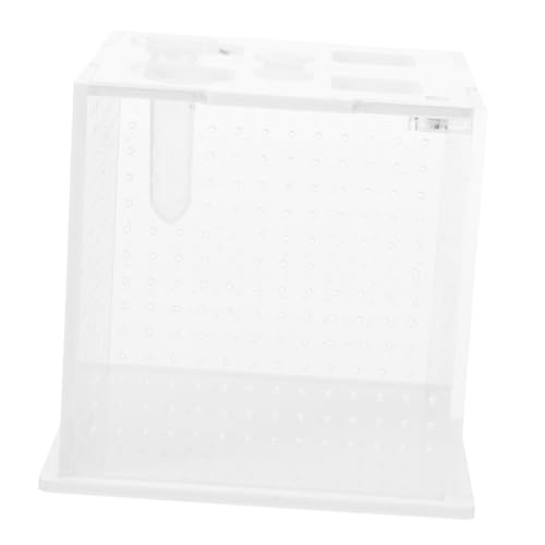 BESPORTBLE Reptilienbox Für Springspinnen Transparentes Habitat-Terrarium Reptilien-futterbox Für Zuhause Einfache Bedienung Und Pflege Für Anfänger Und Experten Sicherer Lebensraum Für BESPORTBLE Reptilienbox Für Springspinnen Transparentes Habitat-Terrarium Reptilien-futterbox Für Zuhause Einfache Bedienung Und Pflege Für Anfänger Und Experten Sicherer Lebensraum Für von BESPORTBLE