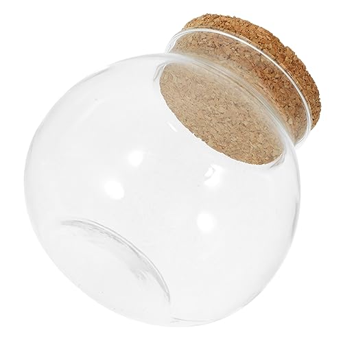 BESPORTBLE Transparente Glasflasche für DIY Terrarium Ökologische Tischdekoration mit Korkdeckel für Pflanzen und Moos Stilvolle Dekoration für Wohnzimmer BESPORTBLE Transparente Glasflasche für DIY Terrarium Ökologische Tischdekoration mit Korkdeckel für Pflanzen und Moos Stilvolle Dekoration für Wohnzimmer von BESPORTBLE