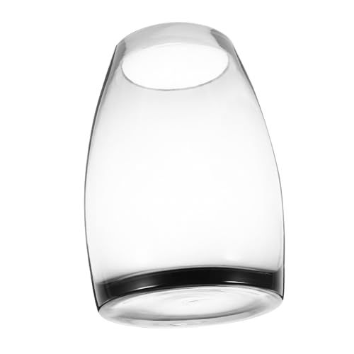 BESPORTBLE Transparente Glasvase Mini Landschaft Behälter für Desktop Terrarium Hydroponik Pflanzflasche Kleines Aquarium für Betta Fische und Dekoration von BESPORTBLE