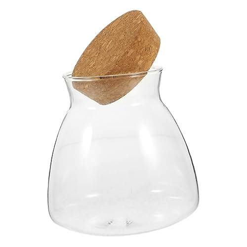BESPORTBLE Transparenter Terrarienbehälter Schüssel Anlage Brunnen Rundes Terrarium Hydroponisches Terrarium Kleines Aquarium Netz Schildkröten-lebensraum-Tank-Set Schwimmbad Deckel Eiche von BESPORTBLE