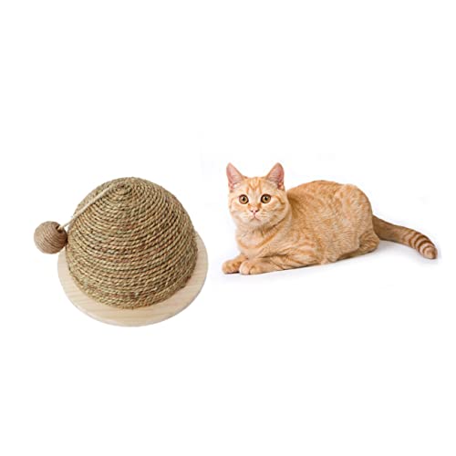 BESPORTBLE Unterhaltungsdekoration Katze Wohnungskatzen Spielzeugkatze Ball Runden Interaktives Katzenspielzeug Katzenspiele Planke Kätzchen Drinnen Klettergerüst Für Katzen Bambus BESPORTBLE Unterhaltungsdekoration Katze Wohnungskatzen Spielzeugkatze Ball Runden Interaktives Katzenspielzeug Katzenspiele Planke Kätzchen Drinnen Klettergerüst Für Katzen Bambus von BESPORTBLE