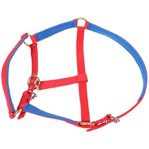 BESPORTBLE Zubehör Für Pferde Verstellbares Halsband Für Wettbewerbe Täglicher Gebrauch von BESPORTBLE