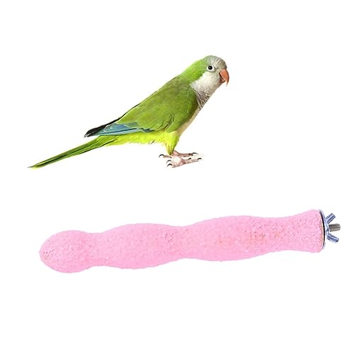 BESPORTBLE Vogelsitzstange Aus Naturholz Rauer Sandbelag Krallenpflege Für Kleine Bis Große Vögel Für Papageien Nymphensittiche Und Sittiche Zufällige Farben BESPORTBLE Vogelsitzstange Aus Naturholz Rauer Sandbelag Krallenpflege Für Kleine Bis Große Vögel Für Papageien Nymphensittiche Und Sittiche Zufällige Farben von BESPORTBLE