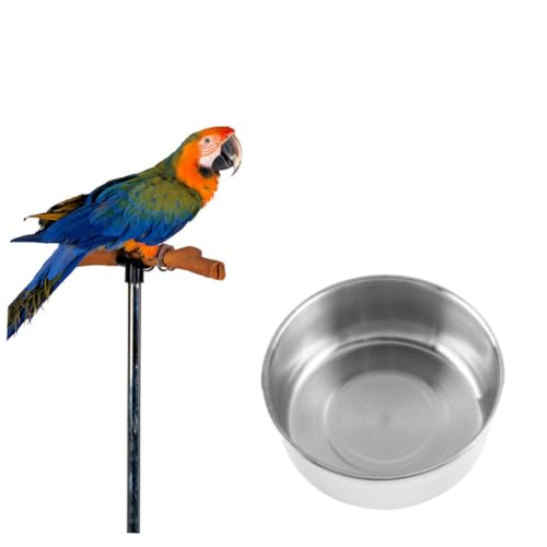 BESPORTBLE Interaktive Papagei Spielzeug Box Vogel Feeder Große Größe Sicher Material Für Ara Nymphensittich BESPORTBLE Interaktive Papagei Spielzeug Box Vogel Feeder Große Größe Sicher Material Für Ara Nymphensittich von BESPORTBLE