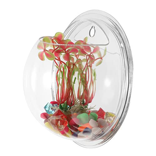 BESPORTBLE Transparente Vase Für Wand Kleine Vasen Für Hydrokultur Wandpflanzgefäße Aus Kunststoff Hohe Vasen Für Blumendekoration Hydrokulturvasen Für Pflanzen von BESPORTBLE
