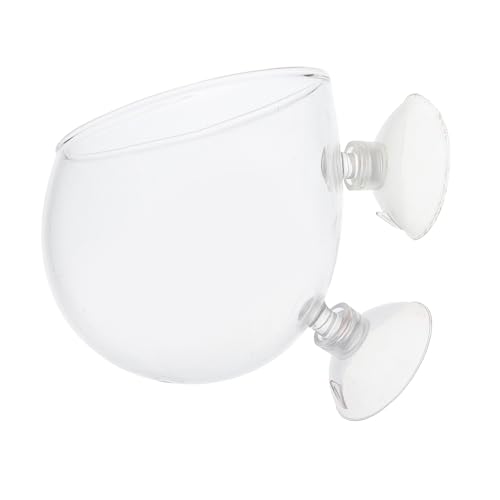 BESPORTBLE Saugnapf Reptilien-futterspender Glas Futterbox Für Gecko Schildkröte Schlangen Echse Spinnen Mit Trinknapf Leicht Zu Reinigen BESPORTBLE Saugnapf Reptilien-futterspender Glas Futterbox Für Gecko Schildkröte Schlangen Echse Spinnen Mit Trinknapf Leicht Zu Reinigen von BESPORTBLE