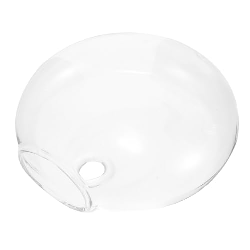 BESPORTBLE Dekorative Hängevase Aus Glas Pflanzenhalter Für Zuhause Zur Präsentation Von Pflanzen Reinigen Sie Ihren BESPORTBLE Dekorative Hängevase Aus Glas Pflanzenhalter Für Zuhause Zur Präsentation Von Pflanzen Reinigen Sie Ihren von BESPORTBLE