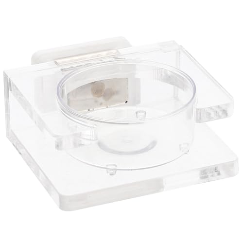 BESPORTBLE Wasserbecken Käfig magnetische Reptilienleiste Schildkröte Haustier Reptilienfutterstation Saugnapf-Futterstation Futterbecken für Würmer Gecko-Feeder Plastik BESPORTBLE Wasserbecken Käfig magnetische Reptilienleiste Schildkröte Haustier Reptilienfutterstation Saugnapf-Futterstation Futterbecken für Würmer Gecko-Feeder Plastik von BESPORTBLE