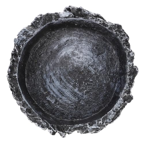 BESPORTBLE Crawling Pet Wassertrinkschale Für Reptilien Praktische Futter Und Wasserversorgung Für Schildkröten Eidechsen Und Schlangen Robustes Harzmaterial Kleine Runde Schüssel BESPORTBLE Crawling Pet Wassertrinkschale Für Reptilien Praktische Futter Und Wasserversorgung Für Schildkröten Eidechsen Und Schlangen Robustes Harzmaterial Kleine Runde Schüssel von BESPORTBLE