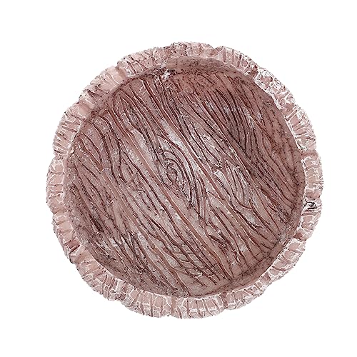 BESPORTBLE Reptilienfutternapf Aus Harz Reptilienwassernapf Für Eidechsen Und Kleintiere Dekorativer Napf Zum Fressen Und Trinken rutschfeste Struktur Sicher Für Reptilien BESPORTBLE Reptilienfutternapf Aus Harz Reptilienwassernapf Für Eidechsen Und Kleintiere Dekorativer Napf Zum Fressen Und Trinken rutschfeste Struktur Sicher Für Reptilien von BESPORTBLE