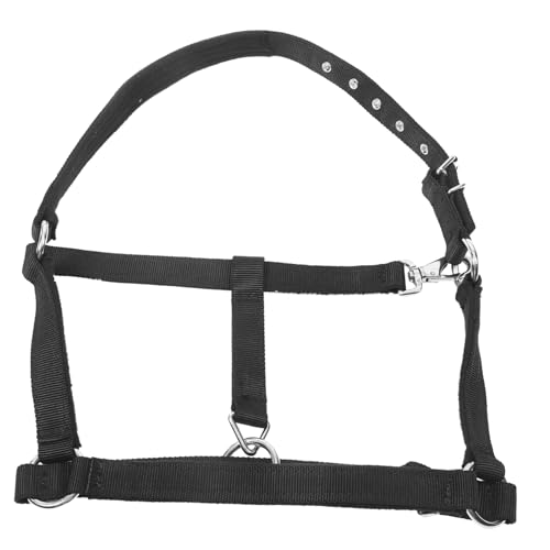 BESPORTBLE Zaumzeug für Pferde Ausrüstung Reiter führen Pferdekessel professionelle Versorgung mit Pferdehalfter Turnierhalfter für Pferde schützendes Pferdehalfter Nylon Black von BESPORTBLE
