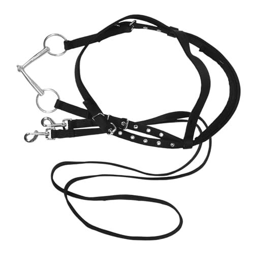BESPORTBLE Zaumzeugseil Halfter Für Pferde Pferdeseiltraining Seilhalfter Pferdehalfter Gurt Für Das Pferdetraining Allzweck-trailzügel Pferdetrainingsbedarf Gebissloses Zaumzeug Nylon Black BESPORTBLE Zaumzeugseil Halfter Für Pferde Pferdeseiltraining Seilhalfter Pferdehalfter Gurt Für Das Pferdetraining Allzweck-trailzügel Pferdetrainingsbedarf Gebissloses Zaumzeug Nylon Black von BESPORTBLE